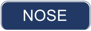 NOSE